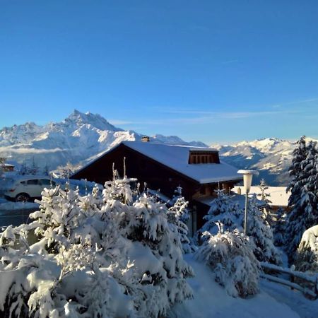 Alpe Fleurie Residence Вилларс-Сур-Оллон Экстерьер фото